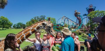 Foto de diversos visitantes fazendo carinho em uma girafa no parque Busch Gardens, com o céu azul e a savana ao fundo.