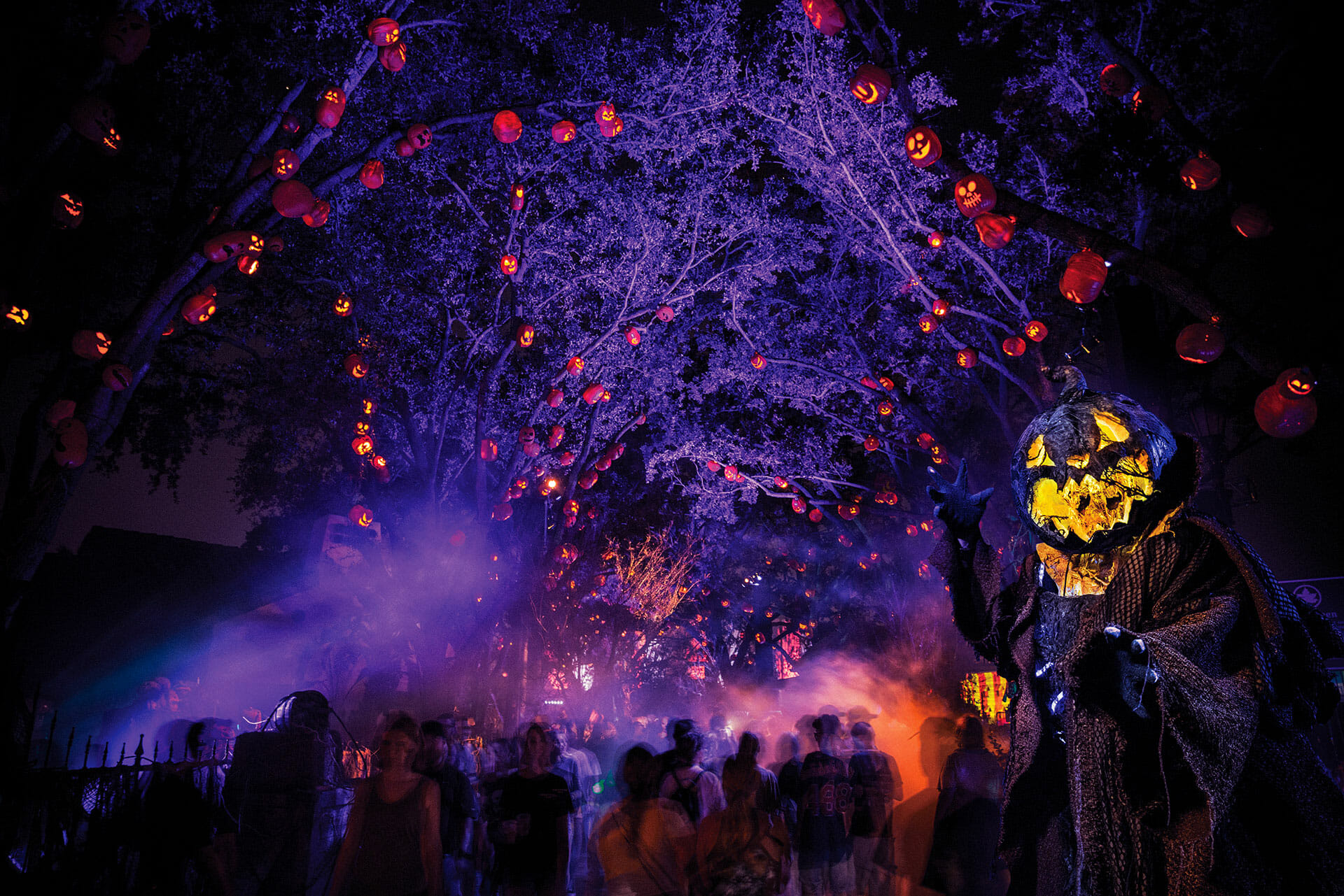 Halloween da Universal Orlando durará 44 noites Voupranos