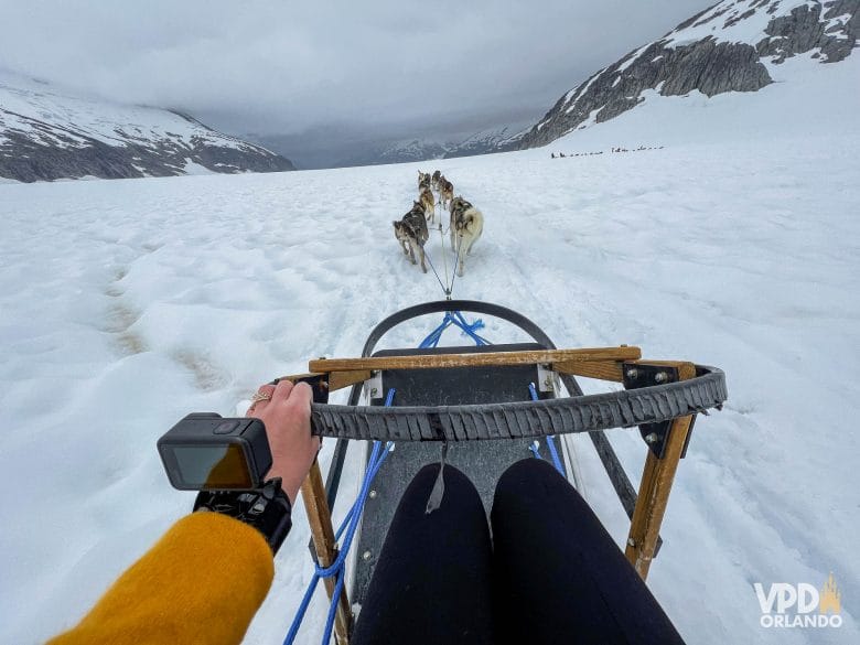 trenó puxado por cachorros na neve, em montanha no Alasca