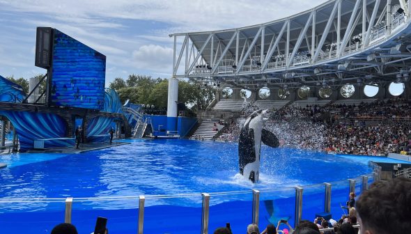 Nova promoção de ingressos do SeaWorld e Busch Gardens com refeição grátis